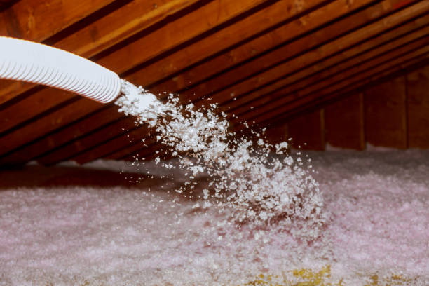 Best Batt and Roll Insulation  in Mount Morris, MI